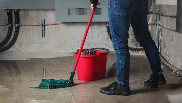 Best Water damage contractors near me  in Blue Springs, MO