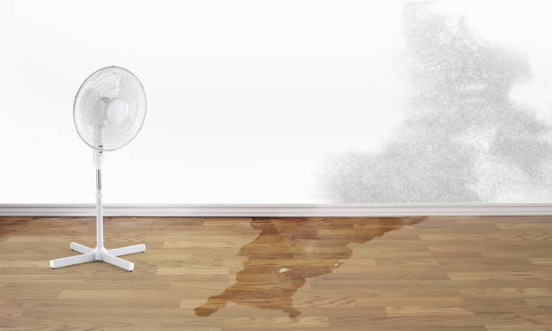 Best Residential water damage restoration  in Blue Springs, MO