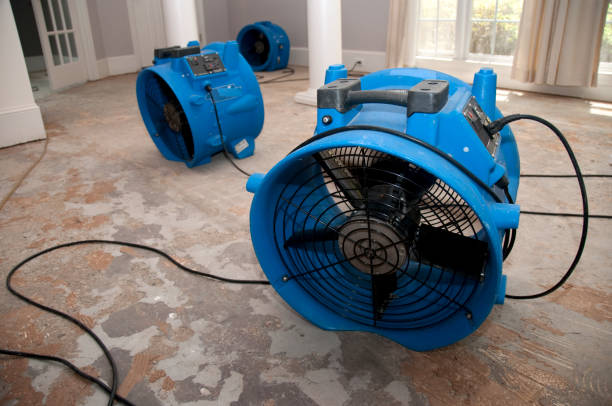 Best Carpet water damage restoration  in Blue Springs, MO