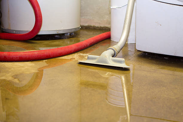 Best 24/7 water damage repair  in Blue Springs, MO