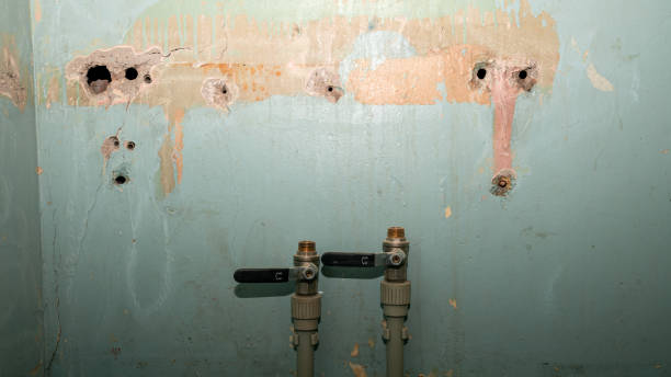 Best Flood restoration services  in Blue Springs, MO
