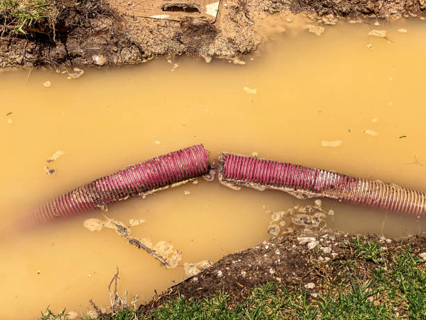 Best Water damage cleanup near me  in Blue Springs, MO