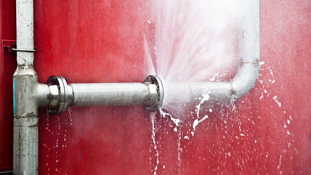 Best Ceiling water damage repair  in Blue Springs, MO